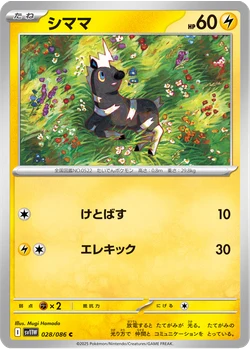シママ