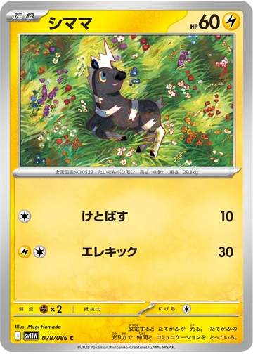 シママ