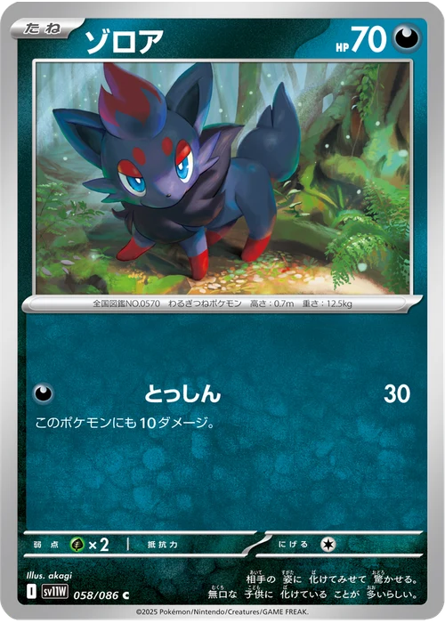 ゾロア