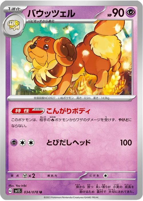 バウッツェル