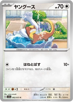 ヤングース