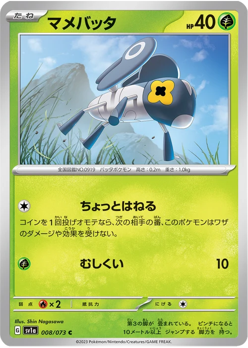 マメバッタ