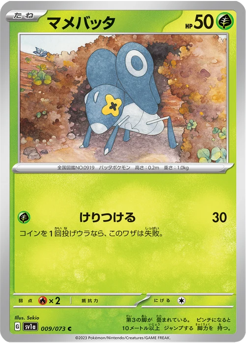 マメバッタ