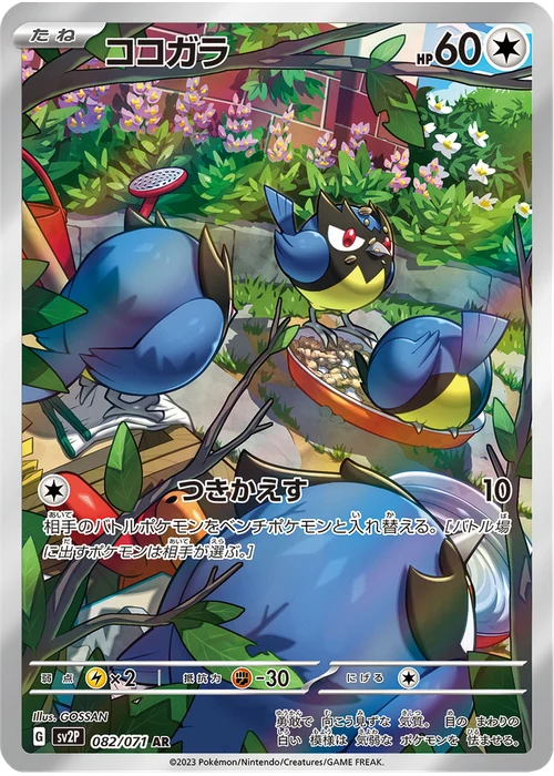 ココガラ