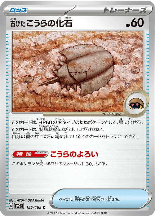 古びたこうらの化石