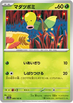 マダツボミ