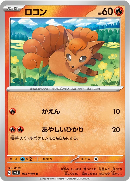 ロコン