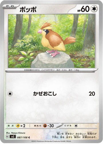 ポッポ