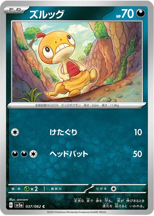 ズルッグ
