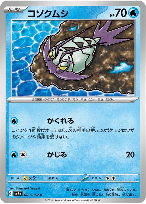 コソクムシ