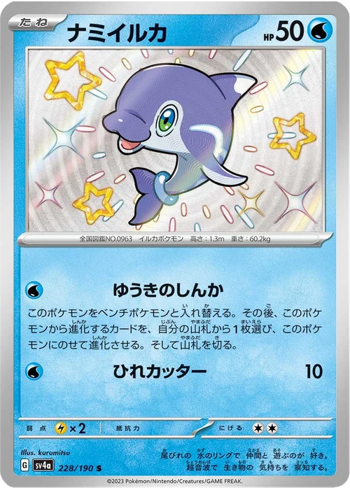 ナミイルカ