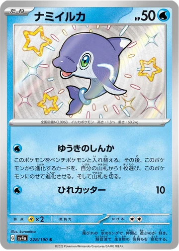 ナミイルカ