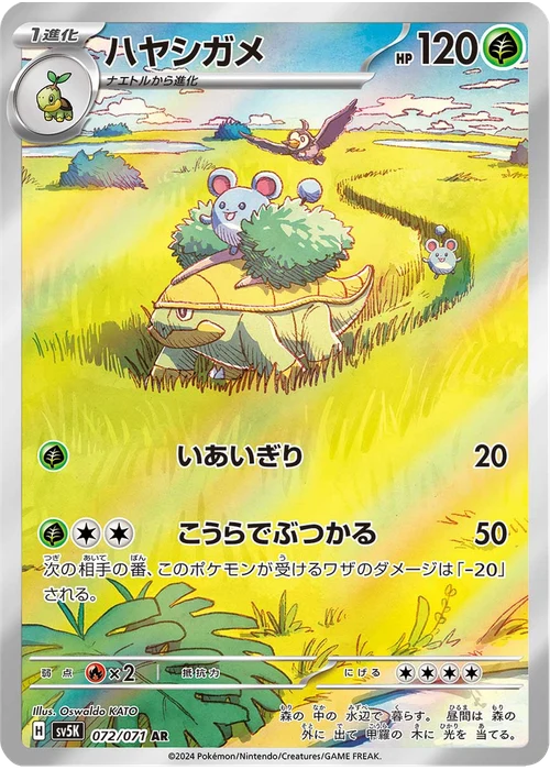 ハヤシガメ