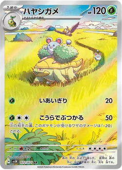 ハヤシガメ