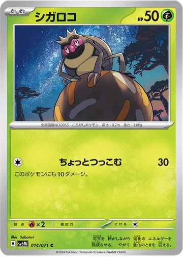 シガロコ