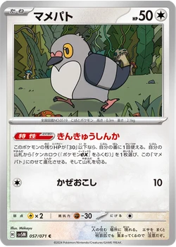 マメパト