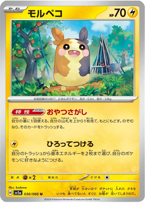 モルペコ