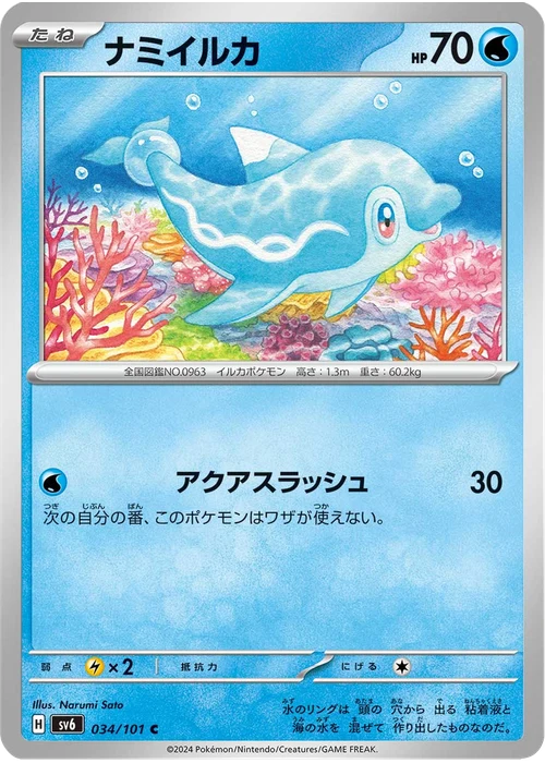 ナミイルカ
