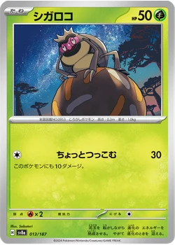 シガロコ