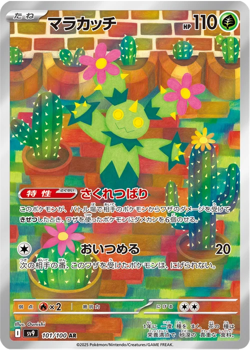 マラカッチ