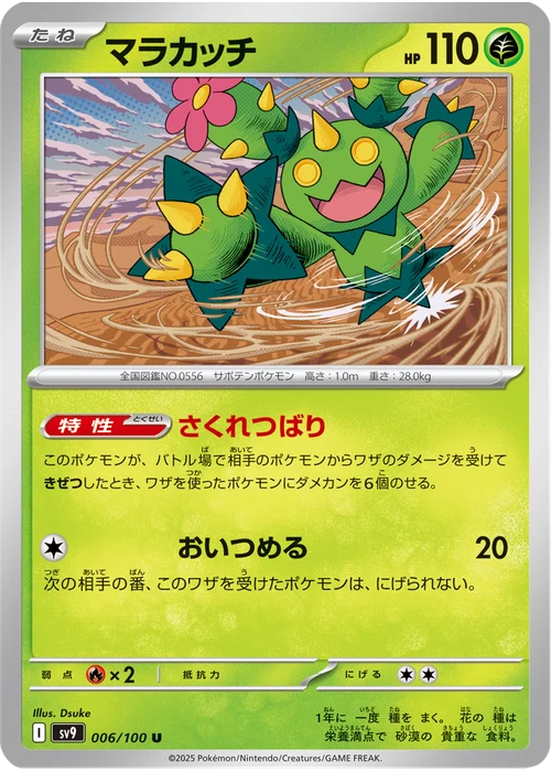 マラカッチ