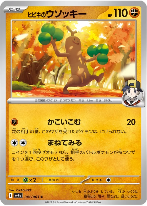 ヒビキのウソッキー
