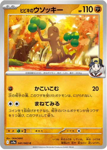 ヒビキのウソッキー