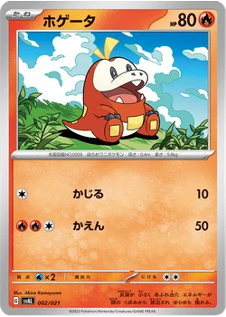 ホゲータ
