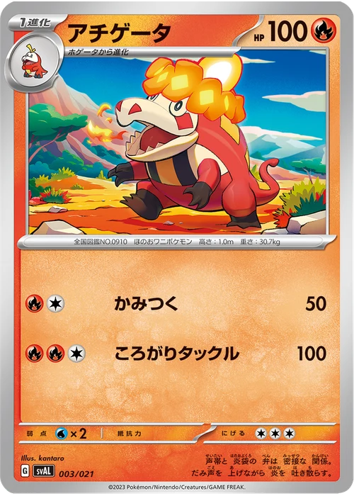 アチゲータ