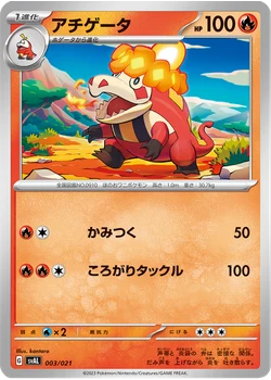 アチゲータ