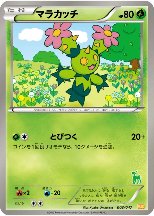マラカッチ