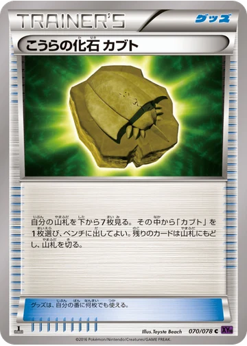 こうらの化石 カブト