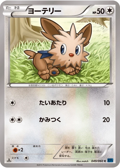 ヨーテリー