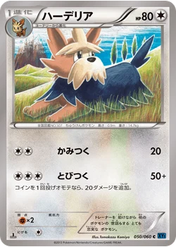 ハーデリア