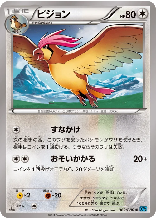 ピジョン
