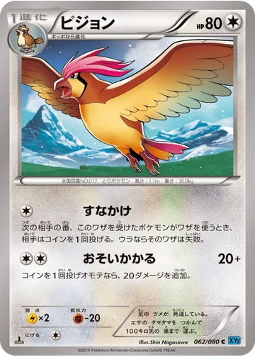 ピジョン