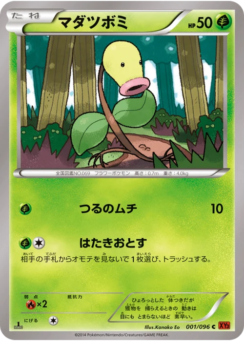 マダツボミ