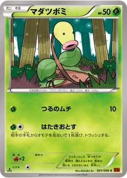 マダツボミ
