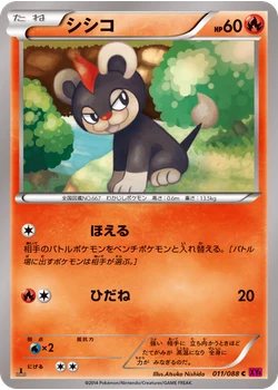 シシコ