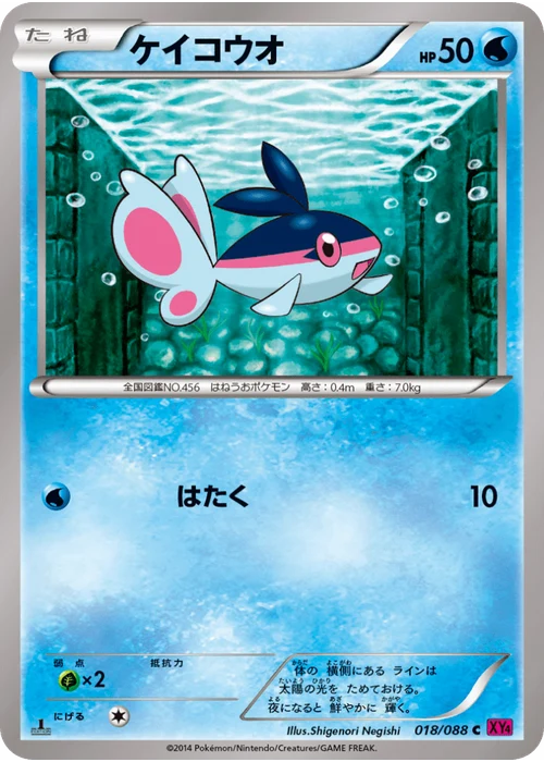 ケイコウオ
