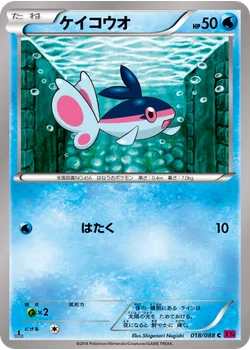 ケイコウオ