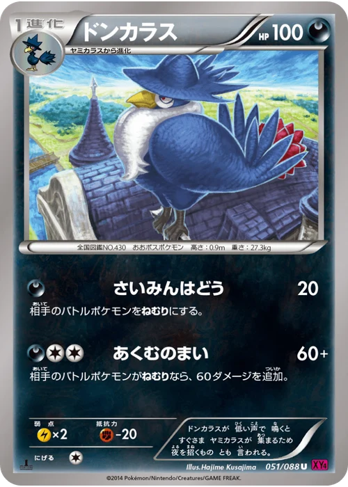 ドンカラス