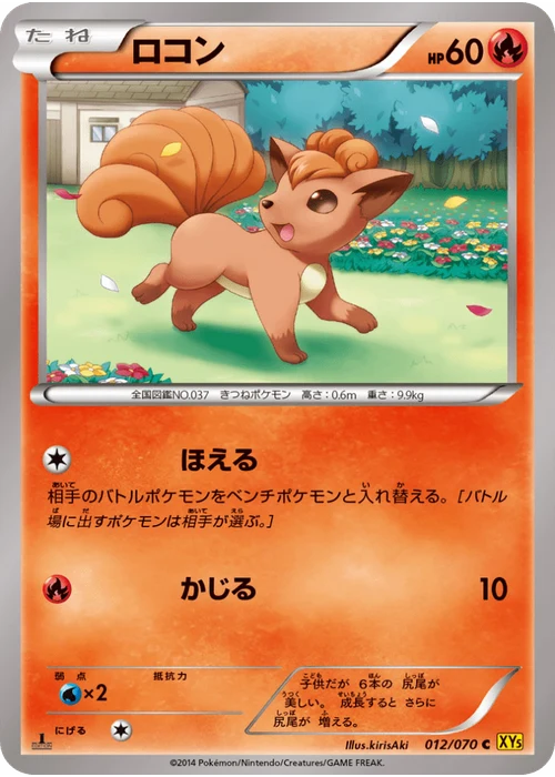ロコン