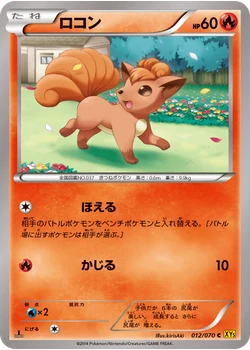 ロコン