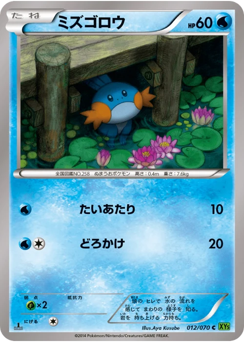 ミズゴロウ