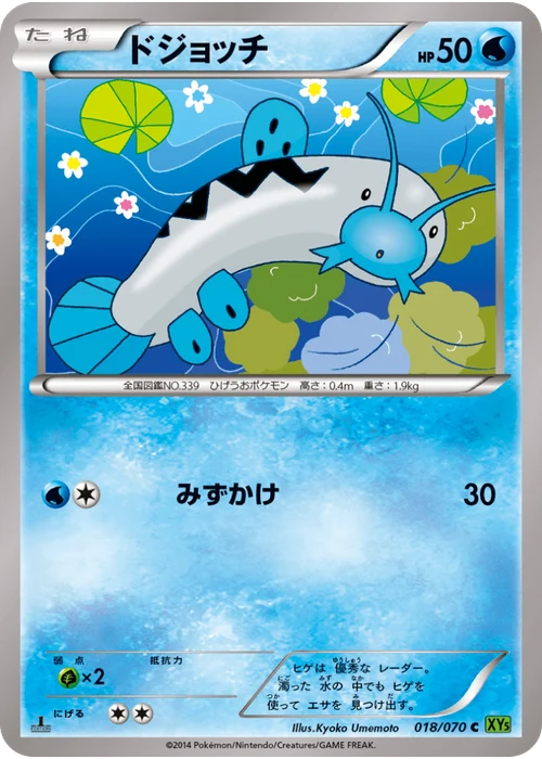 ドジョッチ