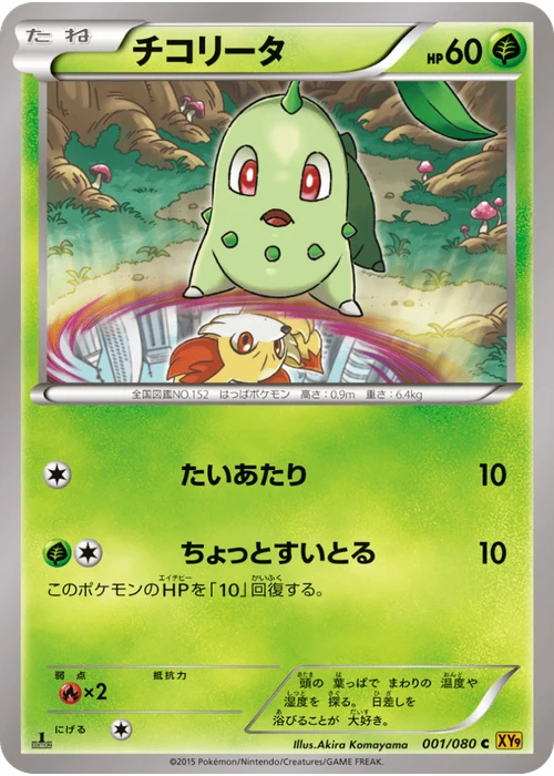 チコリータ