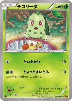 チコリータ