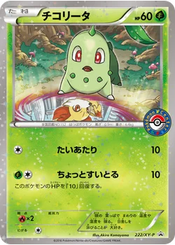 チコリータ