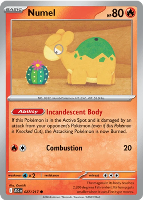 Numel